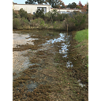 York/Poquoson King Tide image